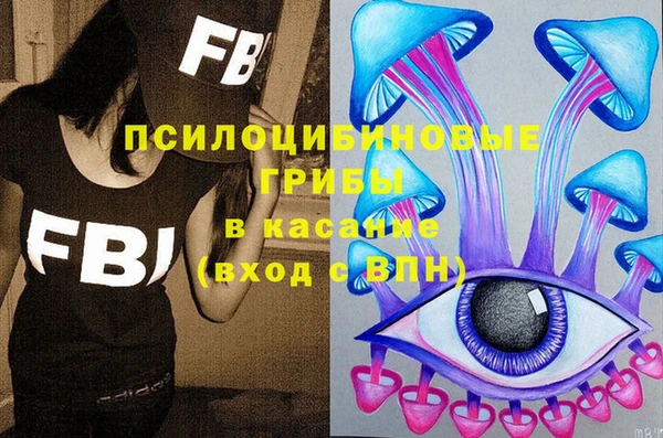 гашик Белокуриха