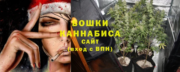 гашик Белокуриха