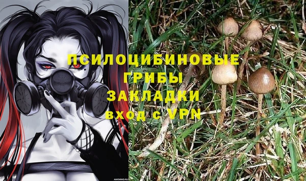 гашик Белокуриха